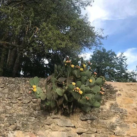 Luberon Maison De Village Entiere 2 A 6 Personnes Nyaraló *